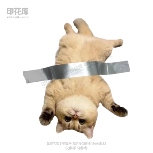 14087新款胶带粘猫咪图案潮牌烫画贴纸图T恤短袖卫衣丝网印花PNG免扣烫画素材卫衣毛衣印花图案